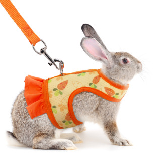 Amazon Explosions Pet Chest Back Set Rabbit Dutch Pig Chest Small Pet Back Set Vest Traction Chest Back Set