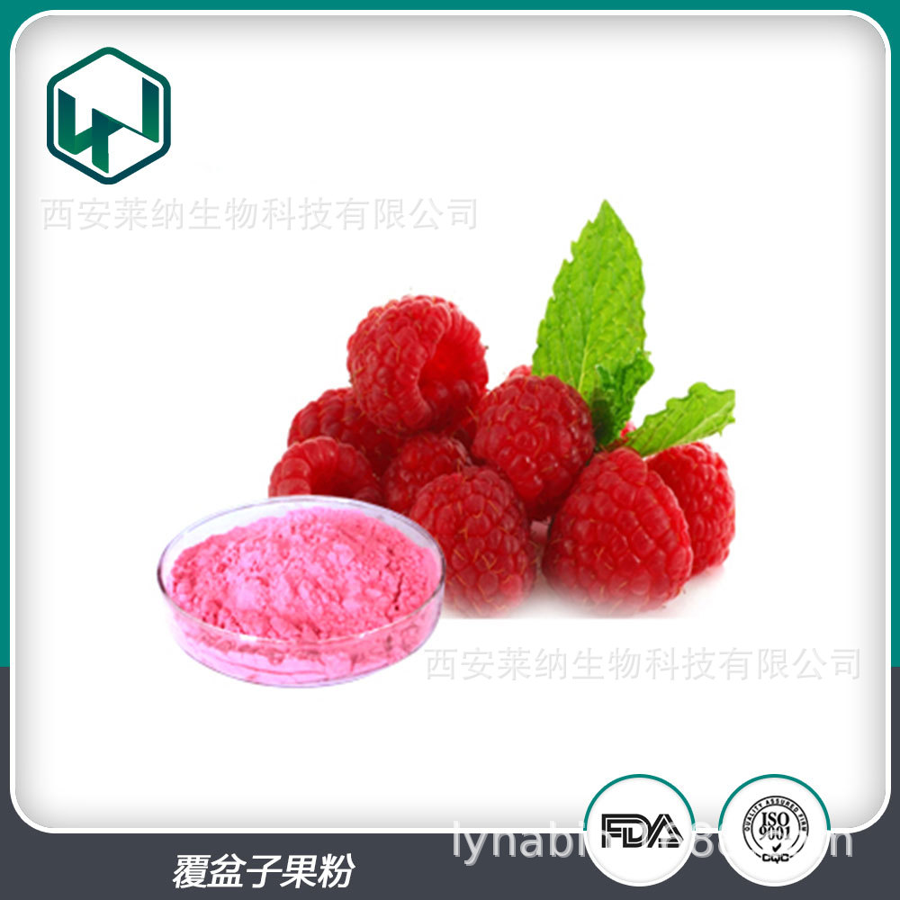 覆盆子果粉 99%含量水溶速溶食品天然果蔬粉 厂家现货量大从优