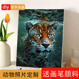 跨境JIT图片定制DIY数字油画亚马逊TEMU外贸批发欧美彩绘动物系