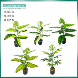 仿真树绿植盆栽大9叶马蹄莲仿真植物 室内盆景木瓜叶仿真野芋叶