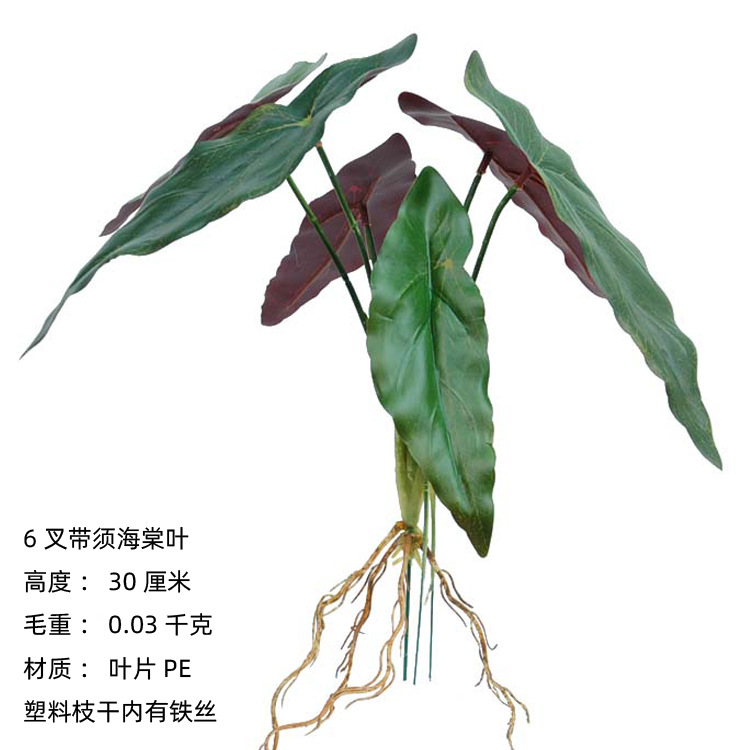 6 tenedor con barba Begonia hoja de mango