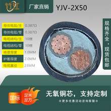 ~о˱zYJV2*50ƽ͉|0.6/1KV