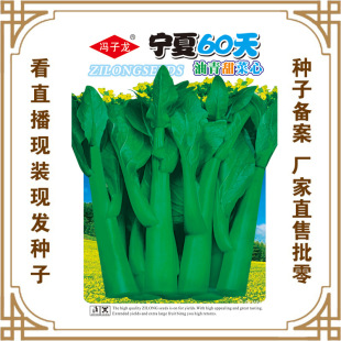 �T�����N�繫˾ֱ�����������طNֲ�߲˷N�ӌ���60�����������