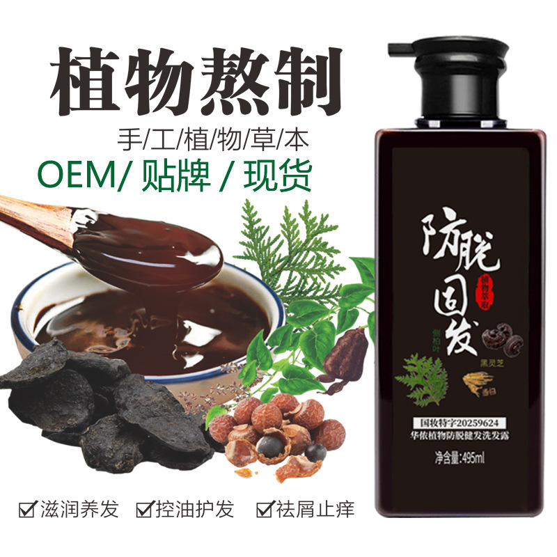 Nine-Ingredient Polygonum Multiflorum and Ginger Anti-Hair Loss Shampoo, Herbal Brewed Shampoo with Platycladus Arborvitae Leaves for Oil Control, In-Stock Hair Care Nine-Ingredient Polygonum Multiflorum and Ginger Anti-Hair Loss Shampoo, Herbal Brewed Shampoo with Platycladus Arborvitae Leaves for Oil Control, In-Stock Hair Care