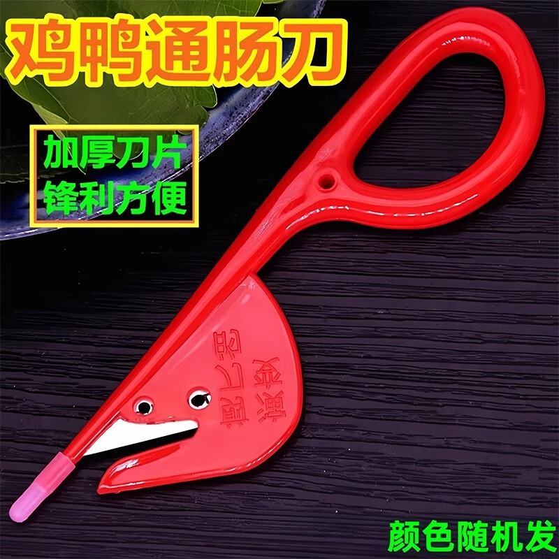 通肠器鸭肠刀鸡肠刀开肠器杀黄鳝泥鳅鱼破肠神器剖鸡鸭鹅肠通肠刮|undefined