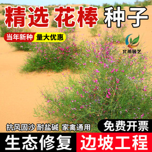 �����N�����ݷN�ѷ��L��ɳ��ľ���Ѽ�֦���S��ţ������^�p�ͲݷN