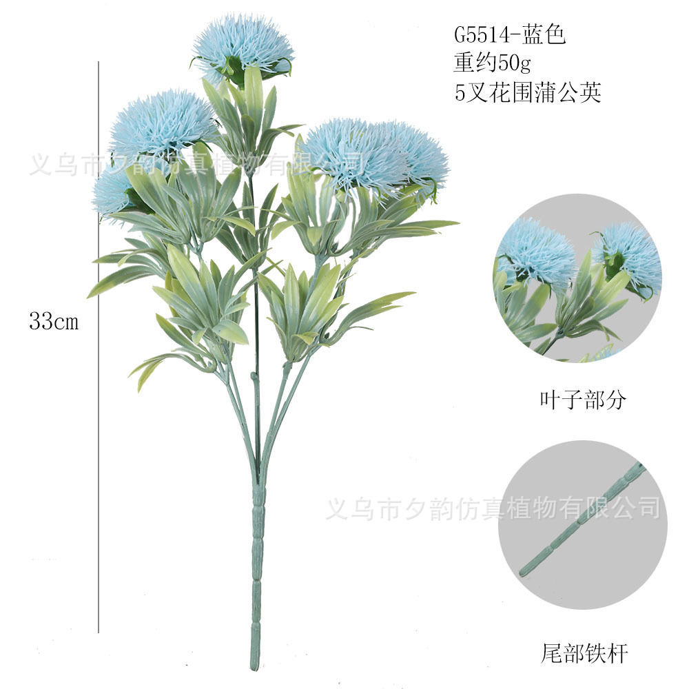 G5514-밀크블루 5갈래 꽃 민들레