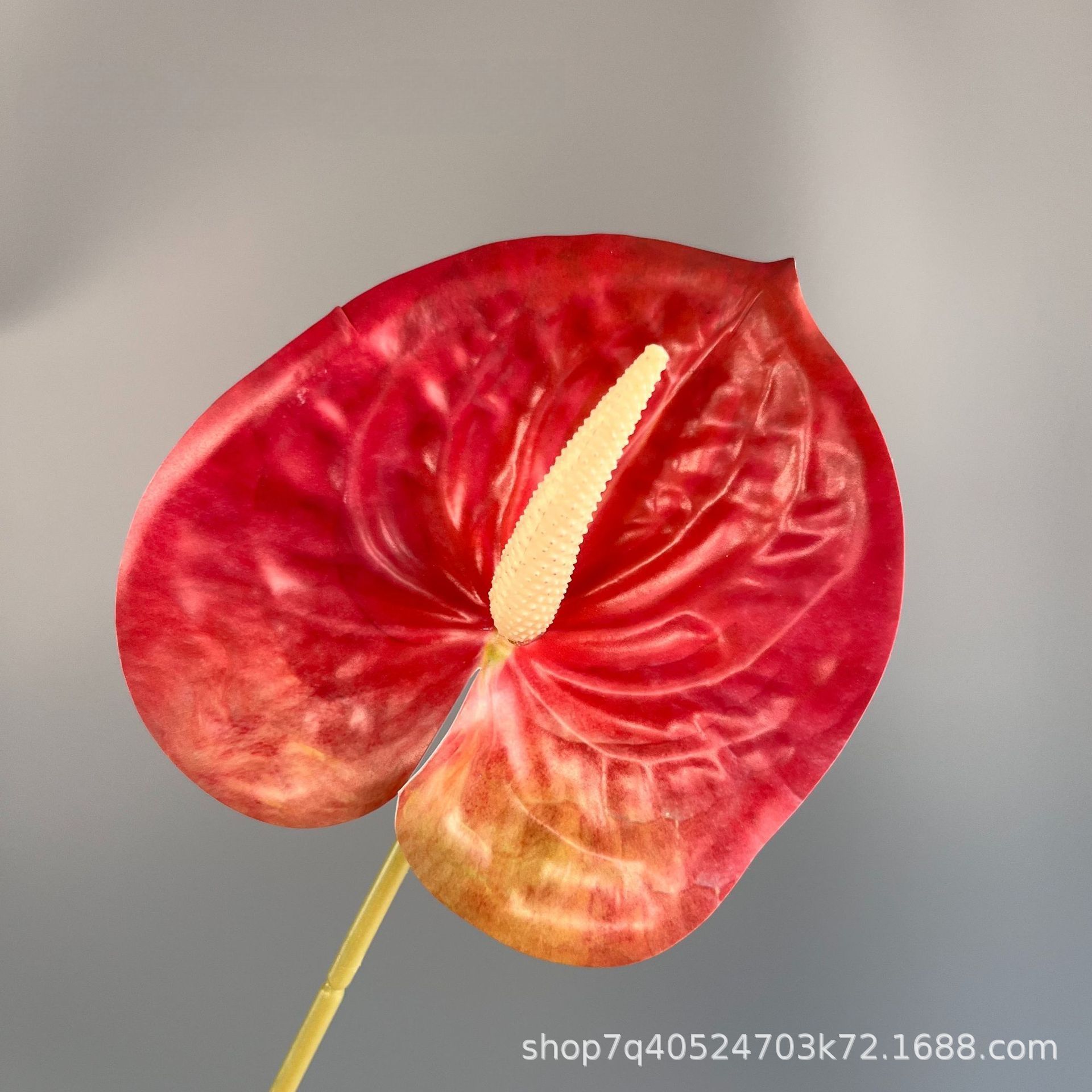 색상 번호 18