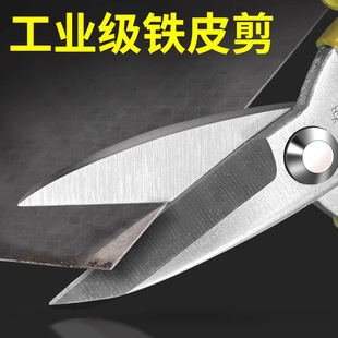 ������������ü����M����i䓼������IƤ���̖���׹ܼ��FƤ����