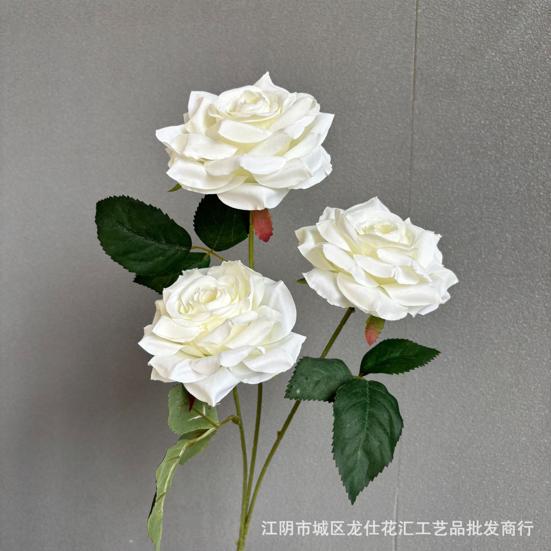 정원 장미