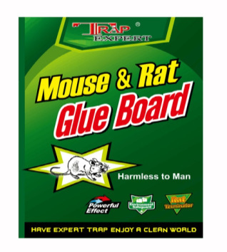 O1CN01FrBCO21w5kr9gwsOs_!!2211