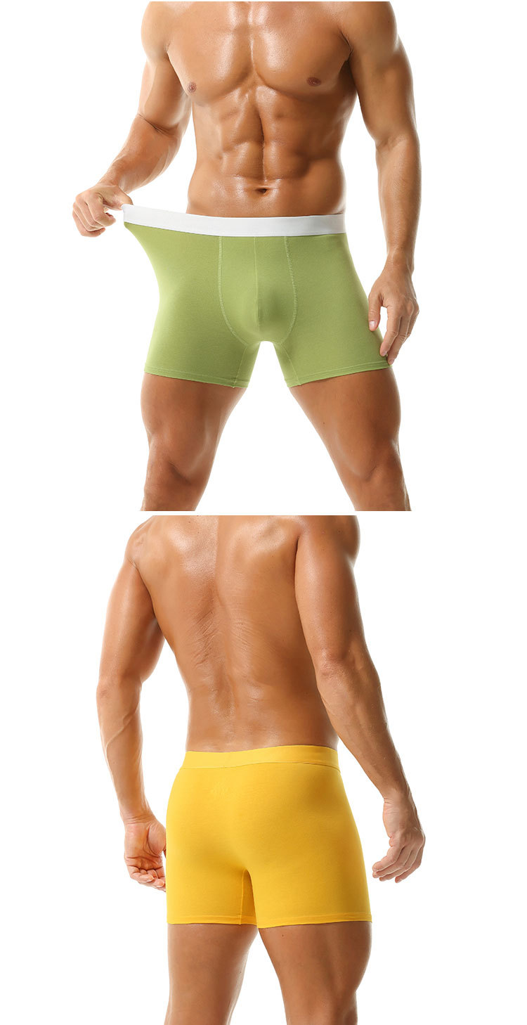 5TIAOMingardi da uomo in puro cotone batteriostatici e traspiranti, pantaloncini larghi_voghion.com