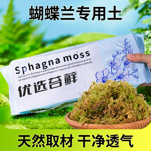 ���|�Ƀ���ˮ̦��̦�m��ʯ���Nֲ�������߉|��ˮ̦�\�����m����