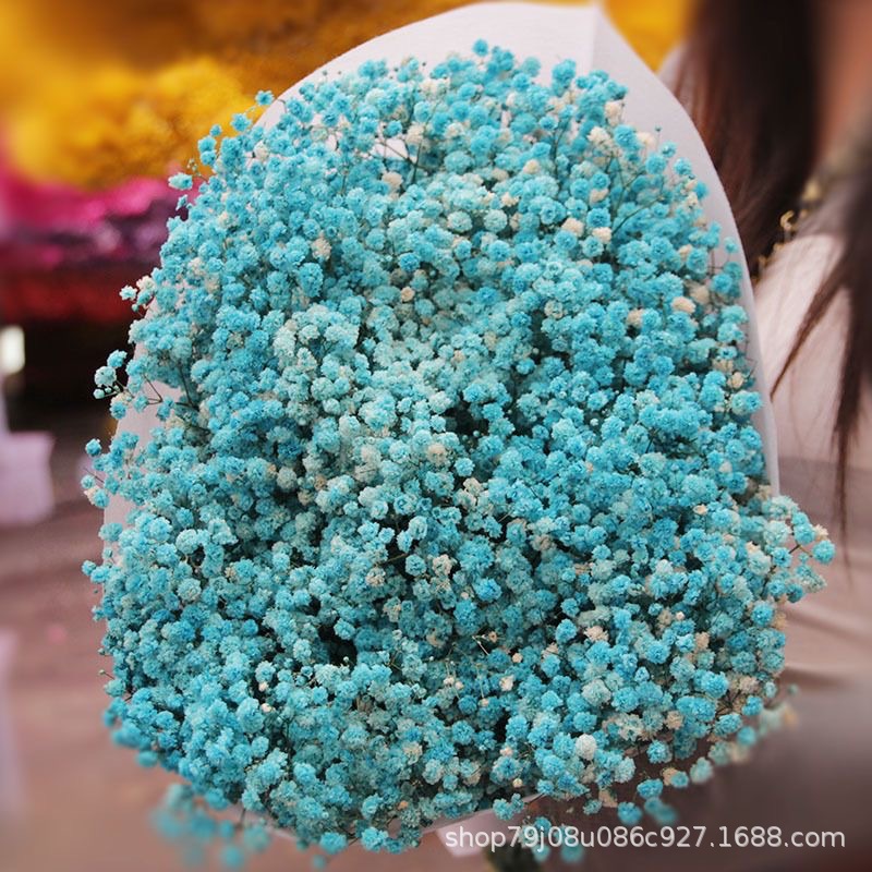 라이트블루(티니브블루)(450g)±30g