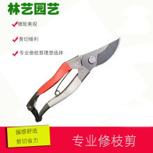 剪定铗 剪定铗品牌 图片 价格 剪定铗批发 阿里巴巴 剪定铗 剪定铗品牌 图片 价格 剪定铗批发 阿里巴巴