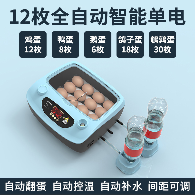 Incubadora, hogar pequeño, incubadora inteligente automática, incubadora, incubadora, loro, huevo de pájaro, pollo, pollo, pollo