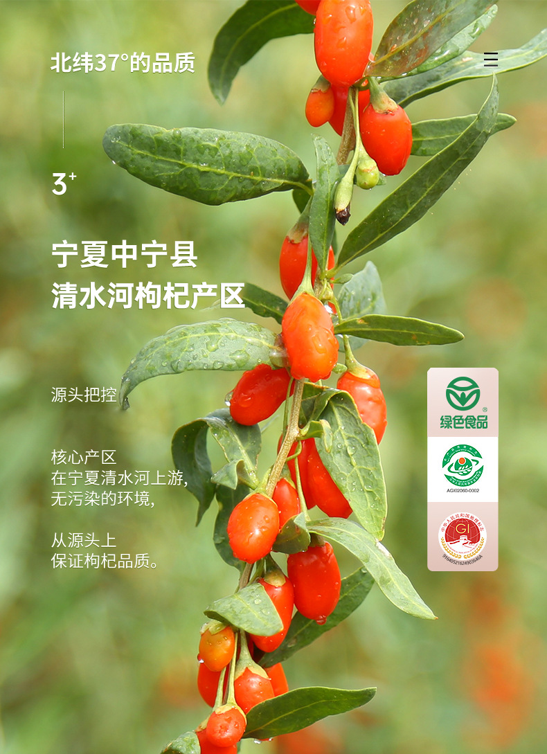 Dried Goji Berries Zhongning Gouqi Zi Premium Grade Ready to Eat 300g key features