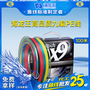 ������100��9���~������PE��·��ឝO�������R�������O�ߏS�����l