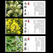 �������Ͳ˗����Ȼ��G�l��鲘�����֦��������۲����z�˺��N��