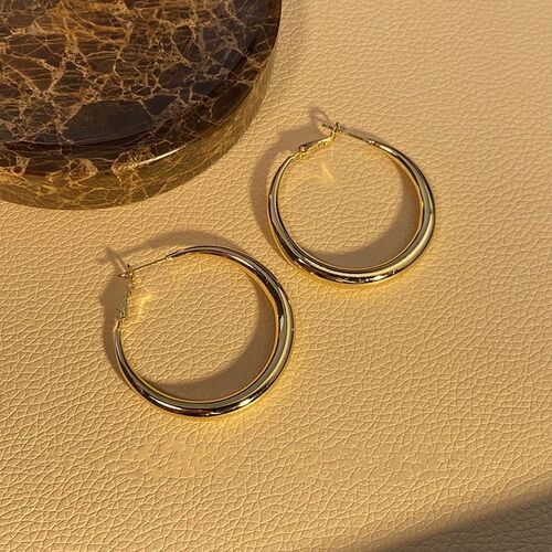 Minimalist High-End Round Hoop Earrings for Women, Super Versatile, Quality Polished Metal Hoop Earrings, Unique Design Earrings