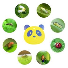 ��؈����ճ�x����x���S���T�x���p���Sɫ���x�������x�N���T����