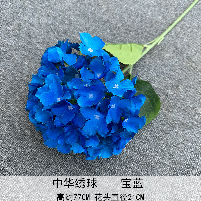 Hortensia chino azul zafiro