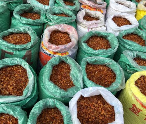 Wholesale Peach Gum from Origin—Hand-Trimmed Pearl-Grain Peach Gum, Three-Ingredient Peach Gum, and Soapnut & Snow Bird's Nest Collagen Product