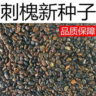 �̻��N�Ӱ׻��̻����㻨�����뻱�N�����۷���ۻ����S�����N��