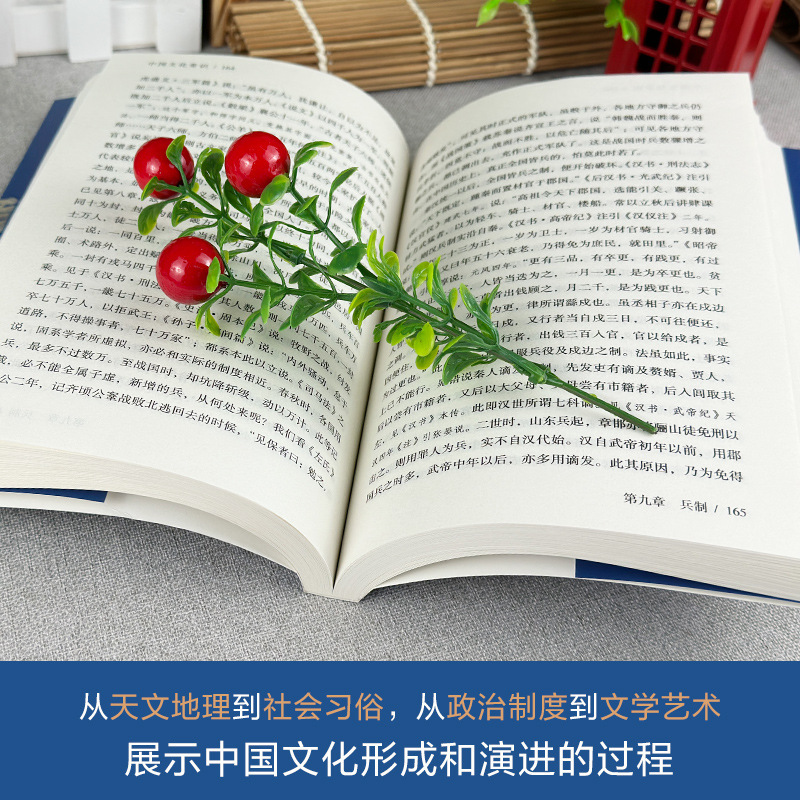 中国の文化常識、千年文明の真髄を読み解く中国の文化知識百科事典|undefined