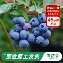 ٵĻ@Ş{ݮԱϷͥԺ̨NֲˮС