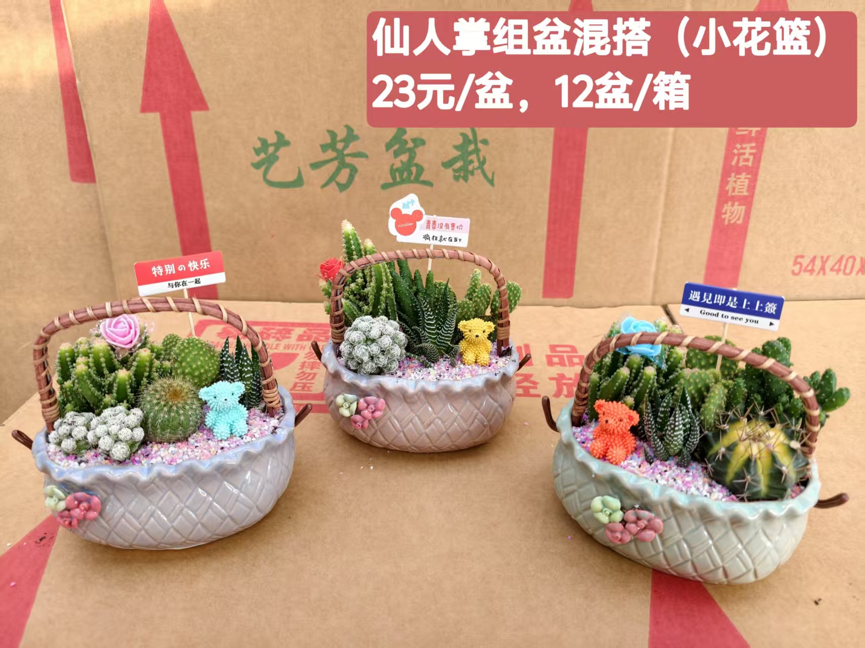 Cactus combinación de vidrio cerámico base de guangzhou venta directa factura boleto especial soporte de cotización de tres partes fábrica directa