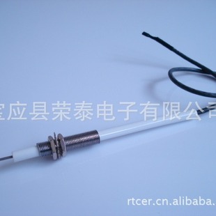 Gas Barbecue Grill (Bbqgrills) Accessories Main Burner Ignition Needle Main Burner Wire Outdoor Barbecue Gas Stove