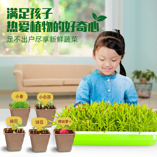 Children's planting observation seed germination and growth scientific experiment set primary school students diy potted planting toys