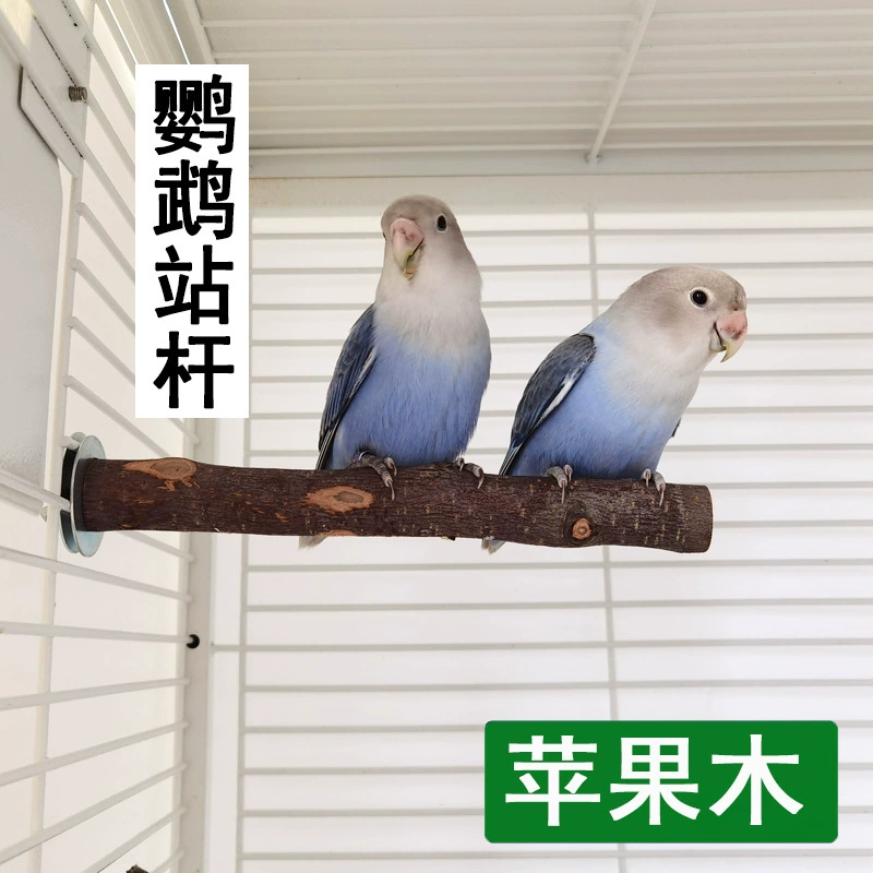 Amazon попугай поставки птица шлифовальный коготь палка птица шлифовальная палочка яблочное дерево неперцовая деревянная подставка стержень для птицы Клетка подставка бар