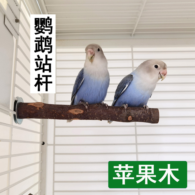 Amazon parrot supplies bird grinding claw stick bird grinding stick apple wood non-pepper wood stand Rod Bird Cage stand bar