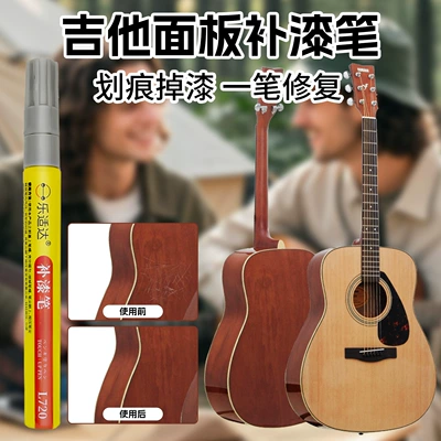 Guitar Maintenance Care, Leshida