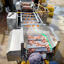 赤贝肉清洗去杂壳设备 扇贝清洗去沙流水线 海鲜肉清洗去贝壳机器