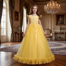 外贸货源公主裙女童连衣裙儿童网纱拖地长裙中大童礼服裙网纱花边