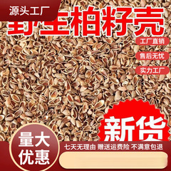 柏籽壳柏壳枕头新货侧柏籽壳枕芯填充物枕套内胆松柏壳子默认项棉