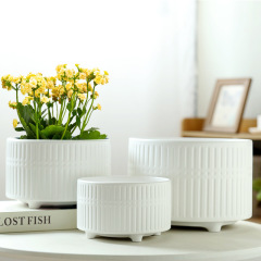 批發直銷陶瓷花盆帶托盤北歐特大號蝴蝶蘭專用盆輕奢高級感白色