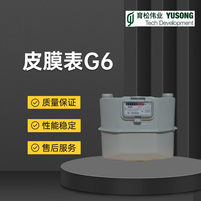 皮膜表G6管道天然气流量计容积式燃气表 埃创 德国进口 ITRON商用