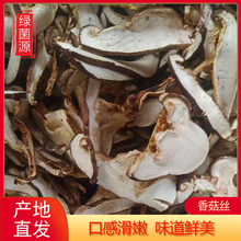 河南土特產食用菌  綠菌源干香菇絲 大量現貨廠家直銷 50斤起批