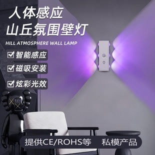 �¿������߲�RGB�������w�Б�����Сҹ�����ʽ�羳؈�۷Շ���
