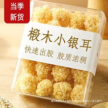 �����ľС�y����؛ Ŵ��ѩ���׳��z ����ʳ�Ķ�Ҏ��ɢ�b���l