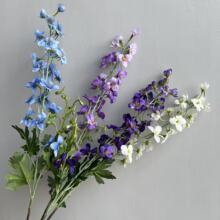 �����w���m���ȸ�л�ֲ�q���_�m�L���ӻ���c�Ƶ�Ҿ�ܛ�b���l