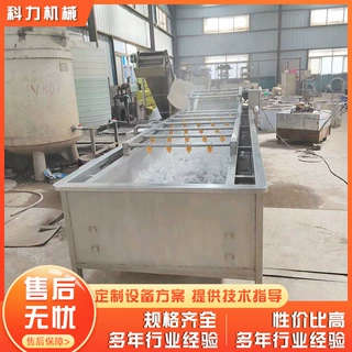 喷淋式果蔬气泡清洗机 金针菇清洗机 不锈钢净菜加工清洗流水线