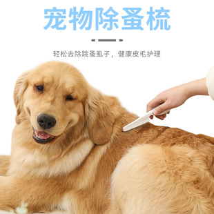 �羳�������ӹ���������؈��������������X�������������ë��