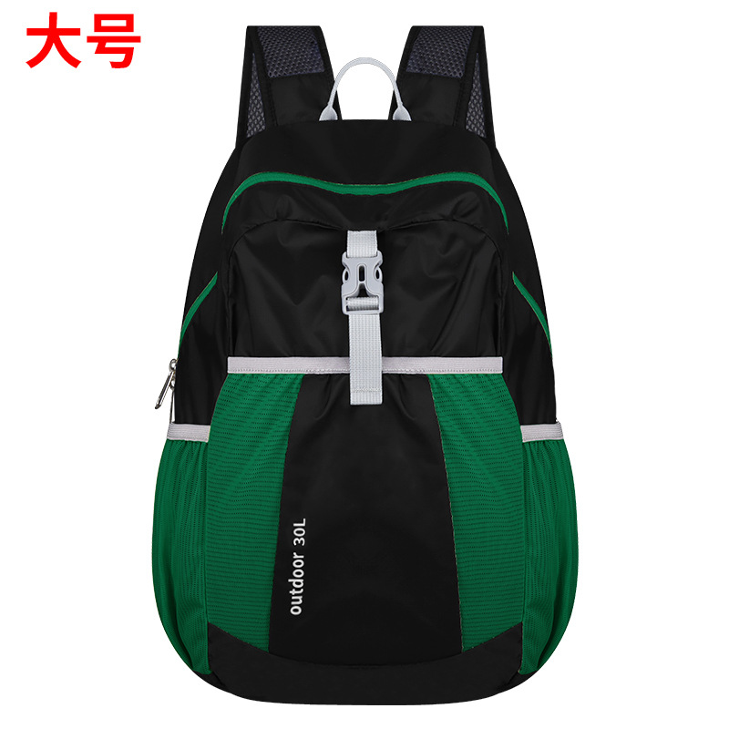 검녹색 대형