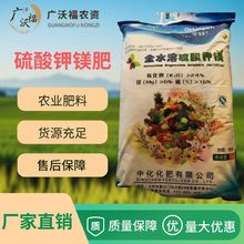 �V���ό��l؛ �л�������V����߷��������ʸ����������|