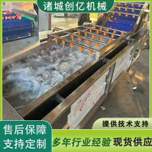 ��ݮ������ϴ�C ������ݮ��ϴ��ˮ�� ˮ�����^�ӹ��O��